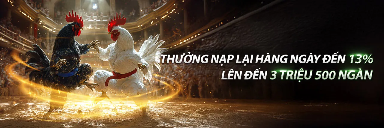 Đá gà trực tuyến kuwinvip với các trận đấu đỉnh cao